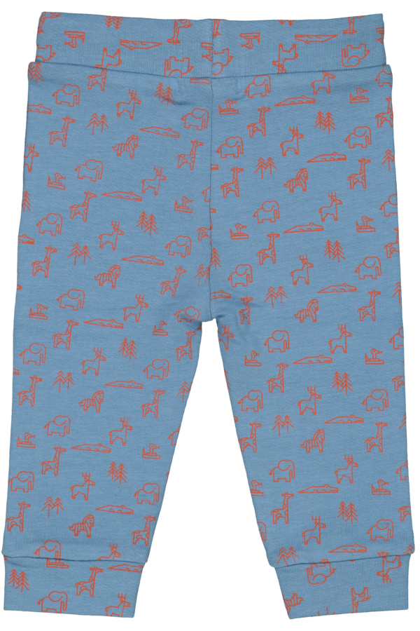 4president Alejandro