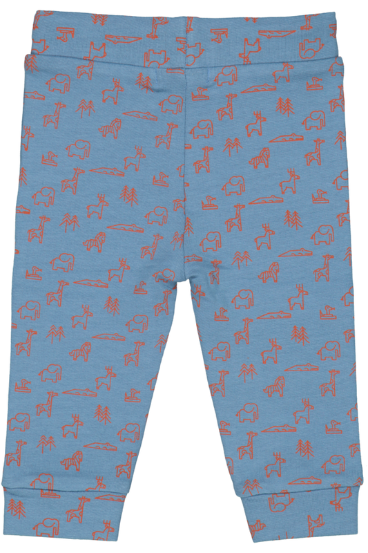 4president Alejandro