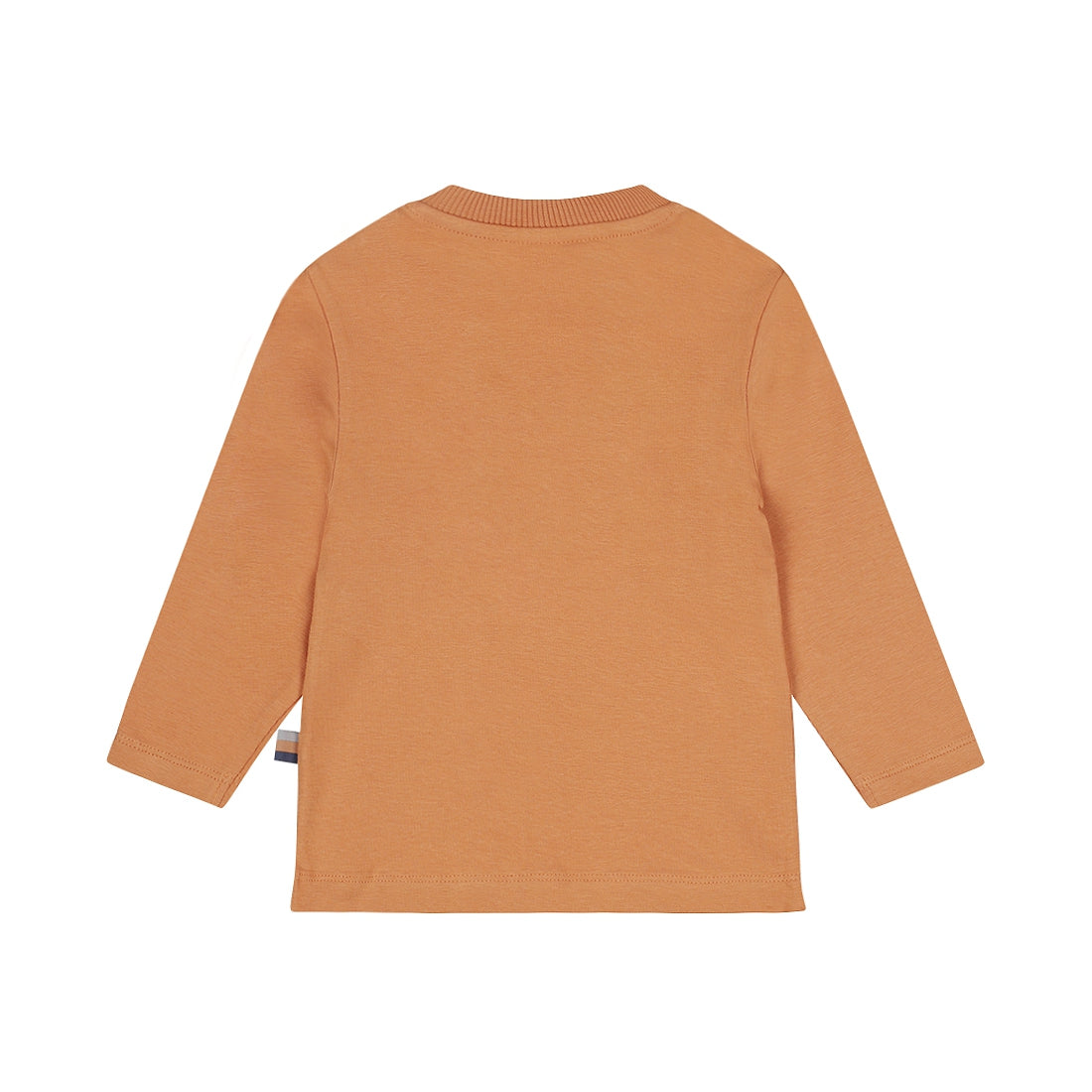 Dirkje Jongens Longsleeve - Cognac