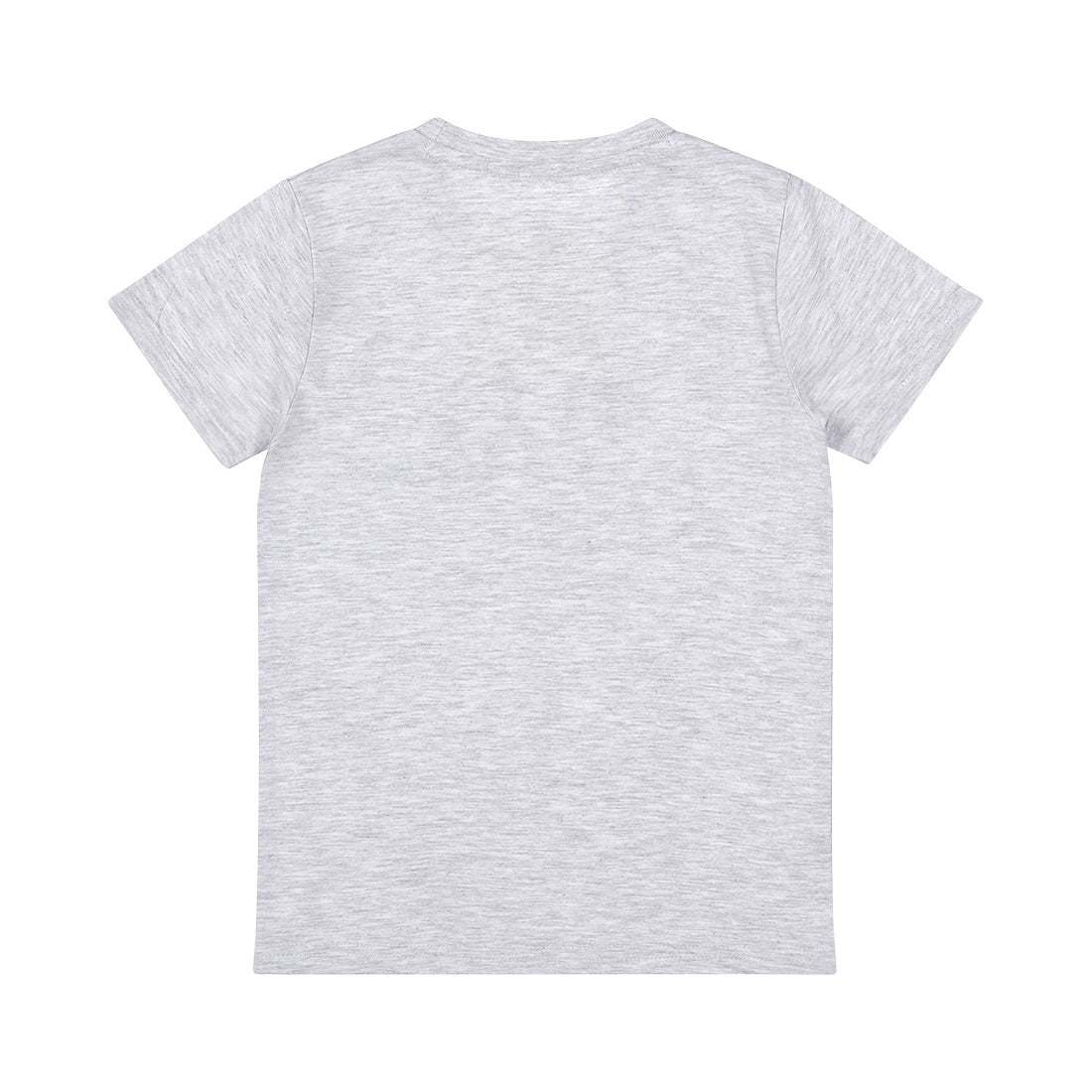 Dirkje Limited Edition T-shirt Grey