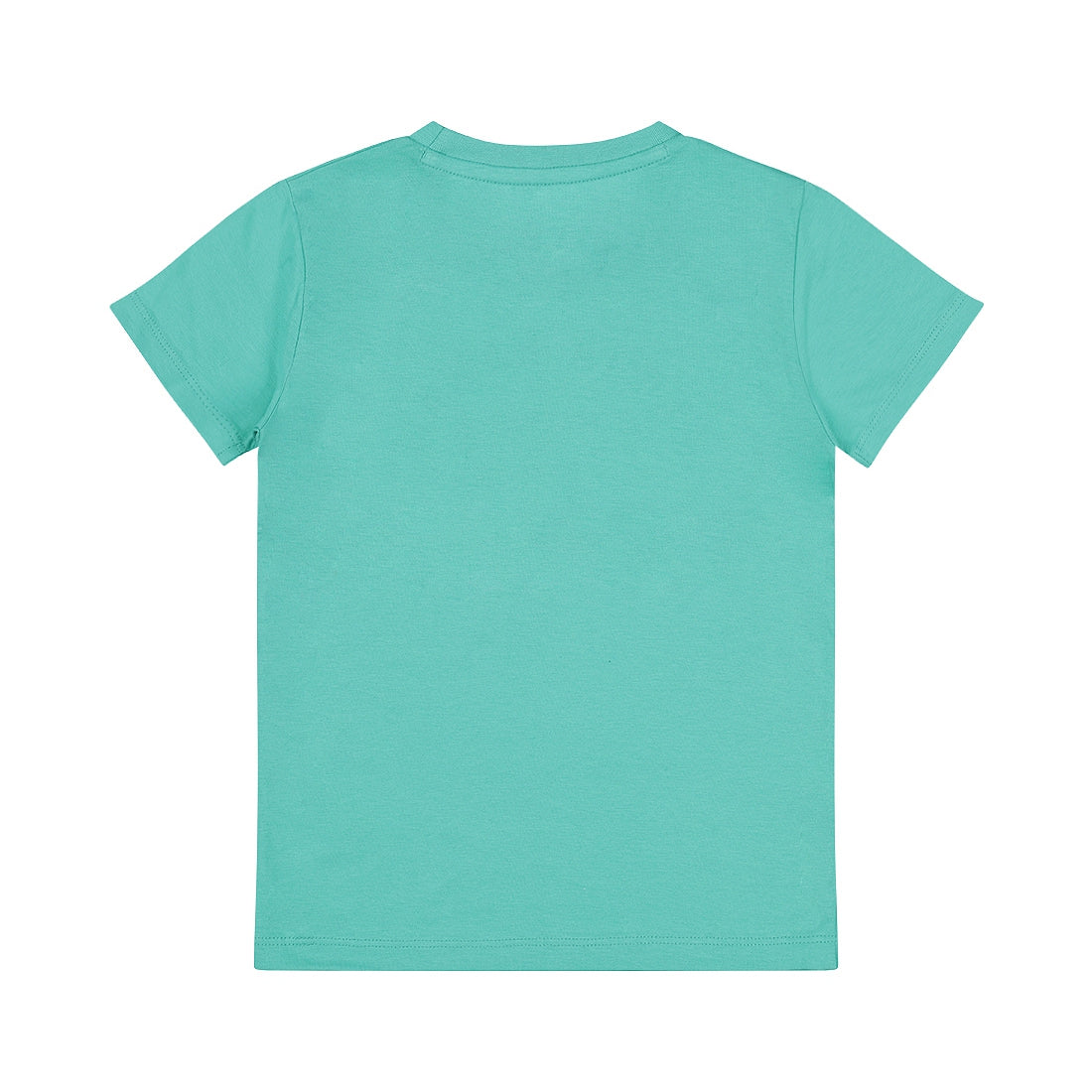 Dirkje Limited Edition T-shirt Aqua green