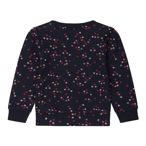 Dirkje stars trui