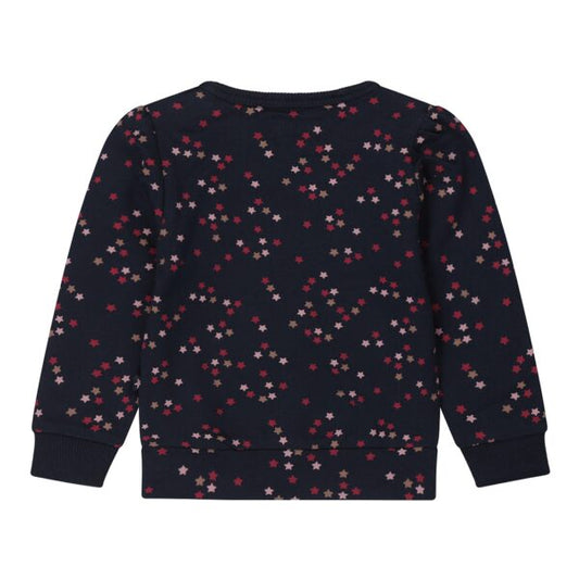 Dirkje stars trui
