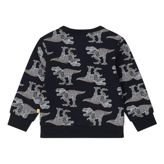 Dirkje dino rock trui