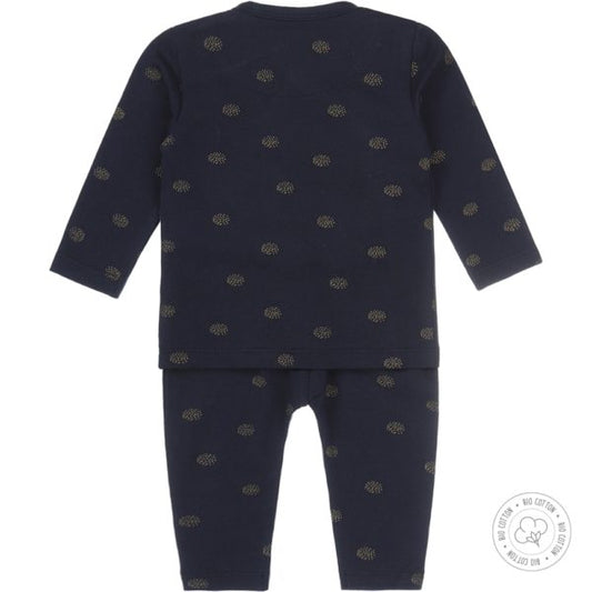 Dirkje gouden stippen baby set - broek en vestje