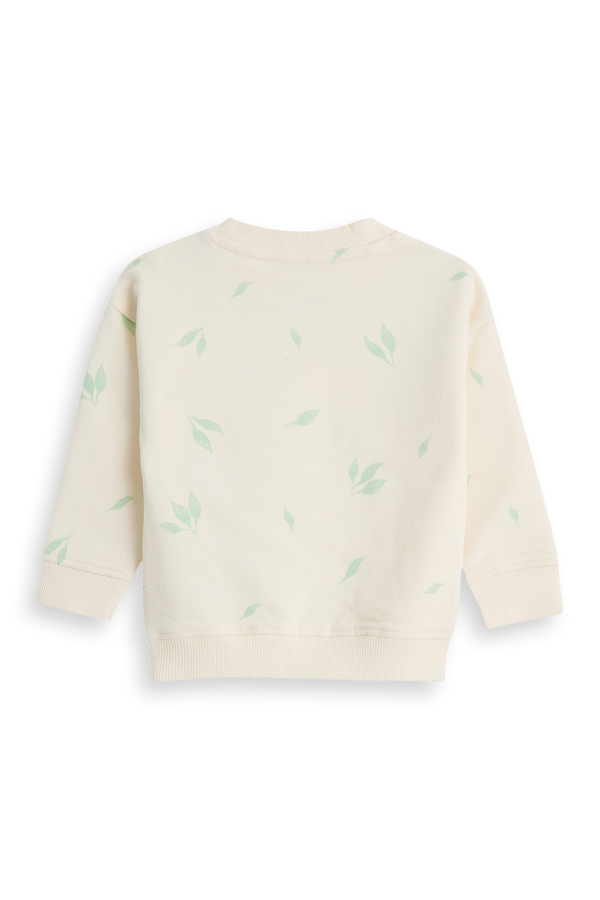 Milo Gardenia — detailfoto 3