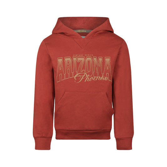 Koko Noko Jongens Hoodie - Faded red