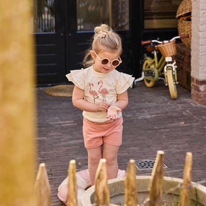 Dirkje flamingo kleding set - t-shirt en korte broek