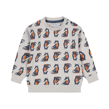 Dirkje Jongens Sweater - Lichtgrijs