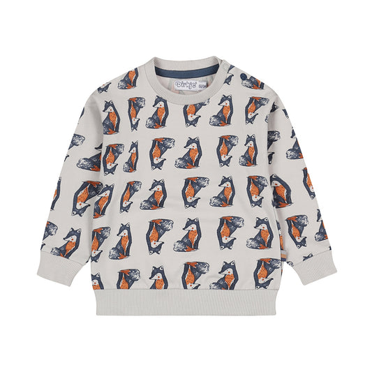 Dirkje Jongens Sweater - Lichtgrijs